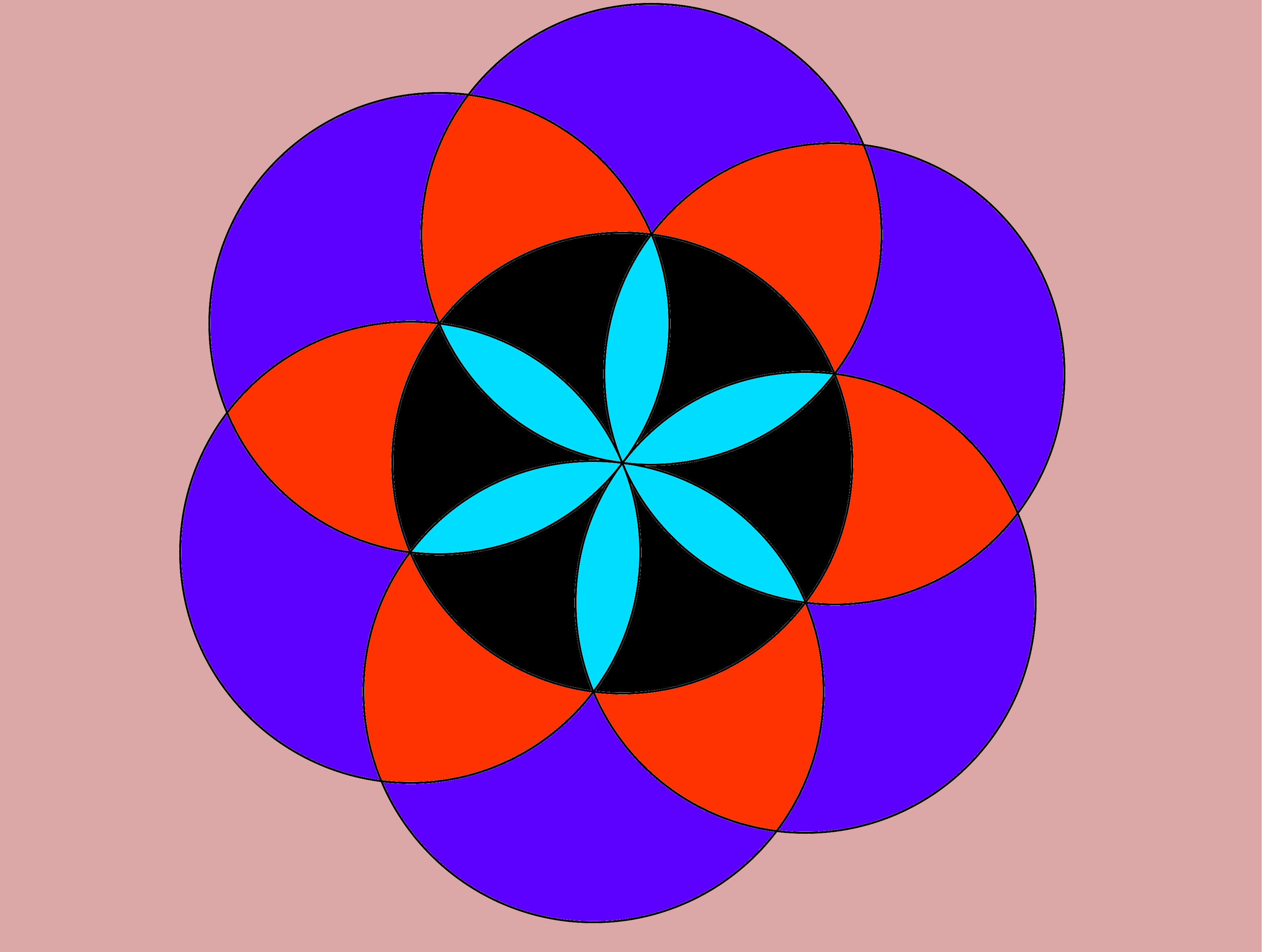 une-histoire-de-rosaces